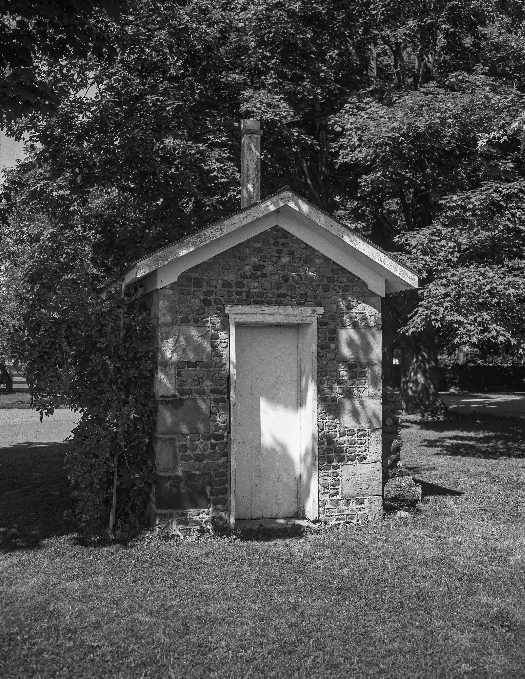 GP Orleans Shelby She-8 1-1 N